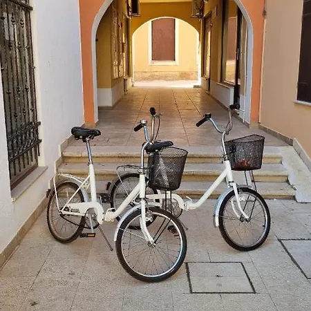Old Harbour Novigrad Istria